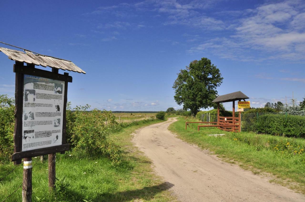 Homebaltic Łeba Dış mekan fotoğraf